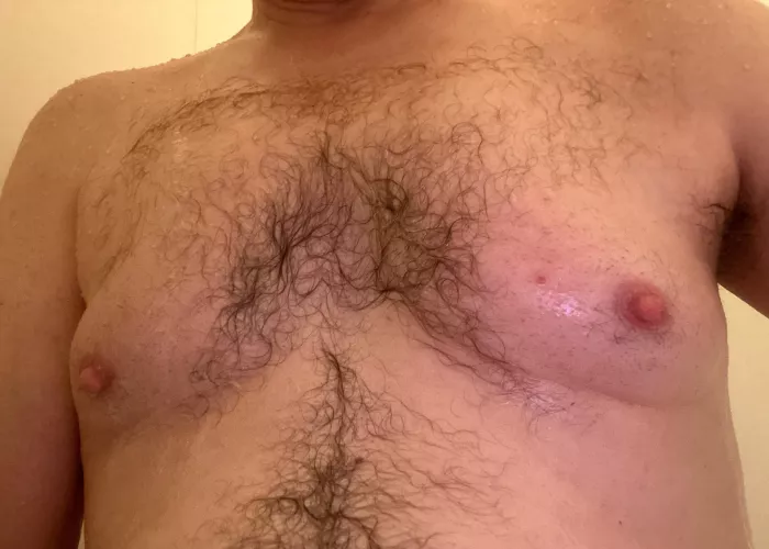 Had to shave to stick on anti-chafing pads for running and am intrigued by the result