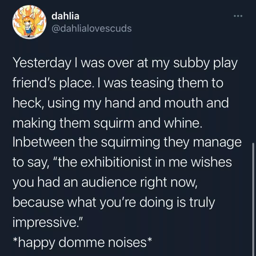 Happy Dom noises 😂♥️