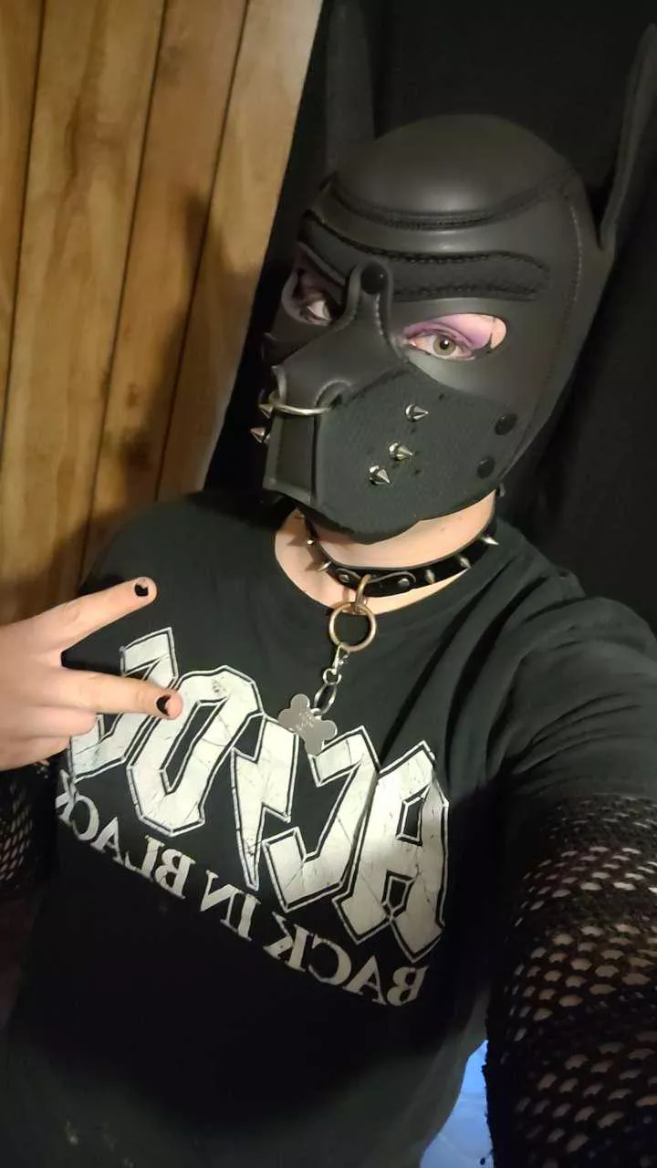 How do yall like goth puppies? ^±^