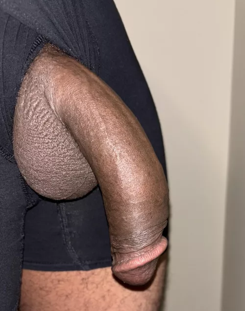 Hung like a horse 🐎