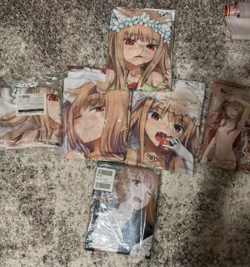 I finally have them all! Spice and Wolf Holo Dakimakuras!
