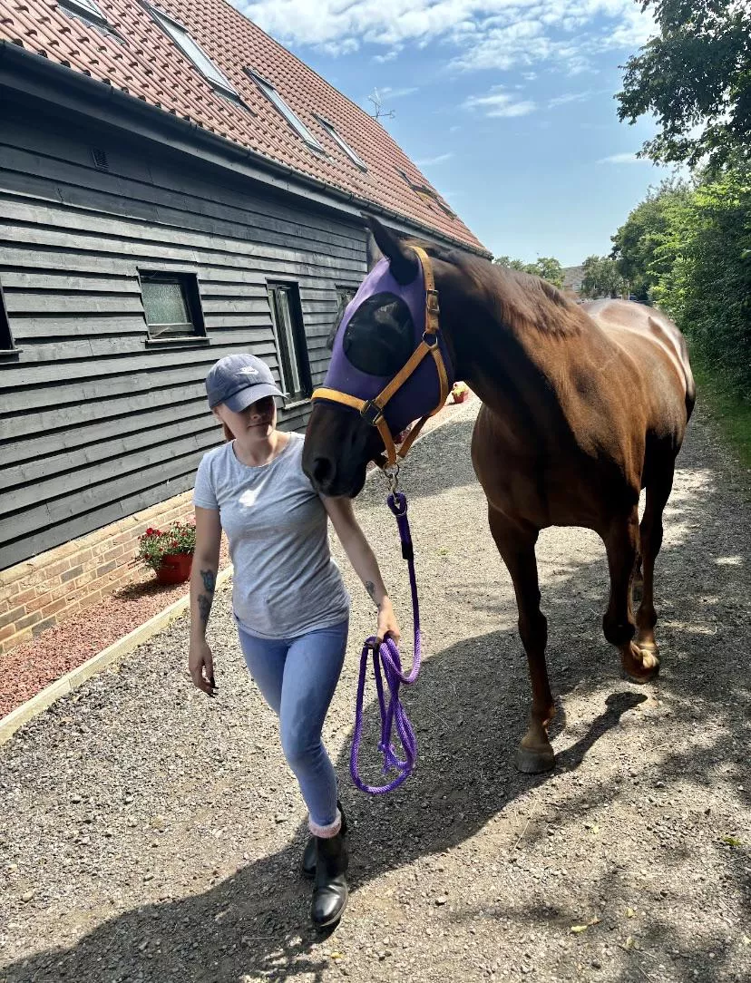 I like horses like I like cock ;)