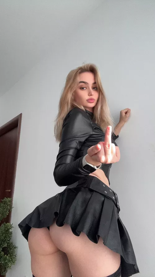 I love flipping off strangers on reddit