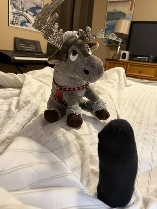 I’m really glad I brought Sven into my house. It’s been many hoof clacks, antler bumps, and nose boops since then.