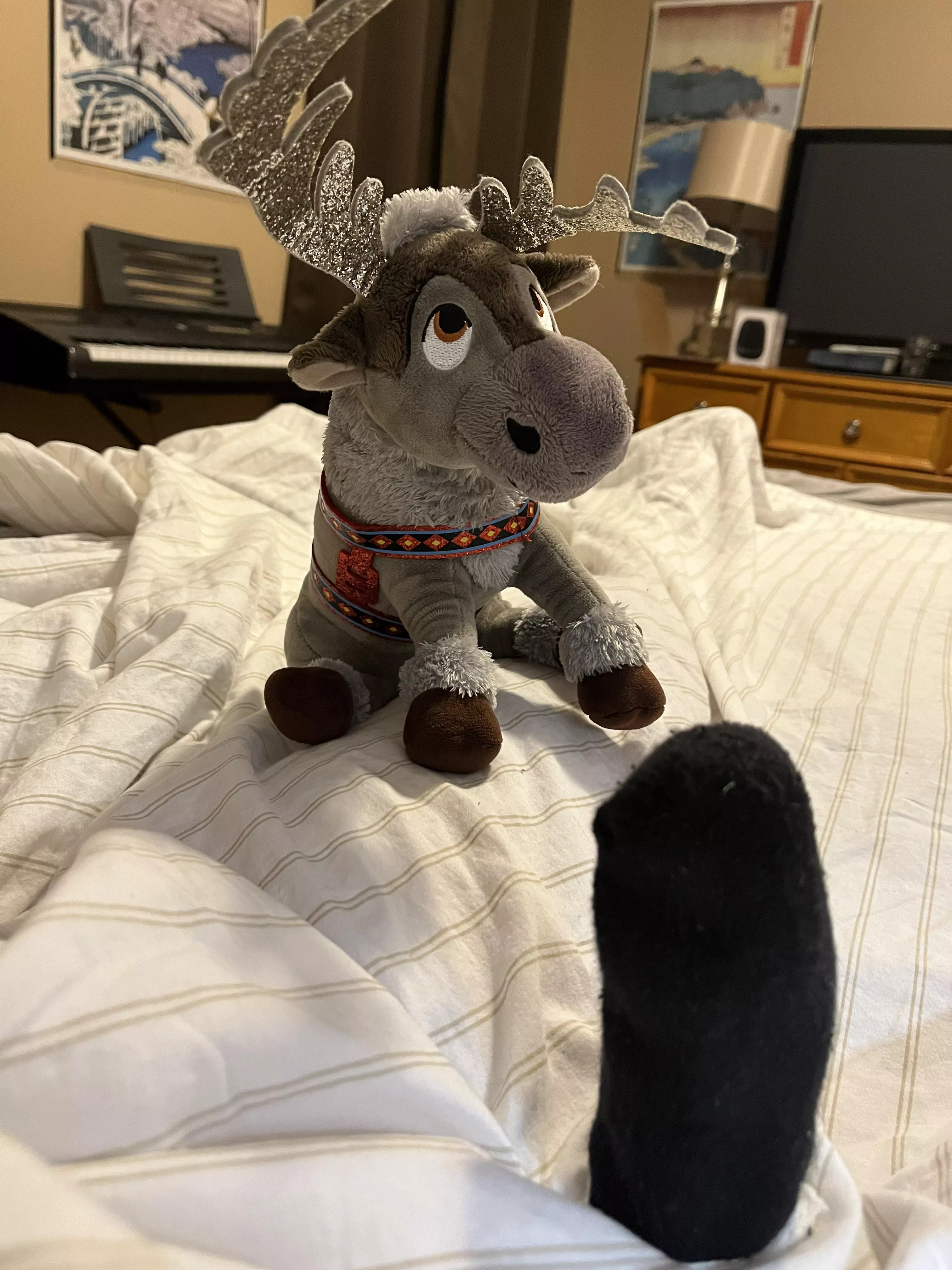 I’m really glad I brought Sven into my house. It’s been many hoof clacks, antler bumps, and nose boops since then.