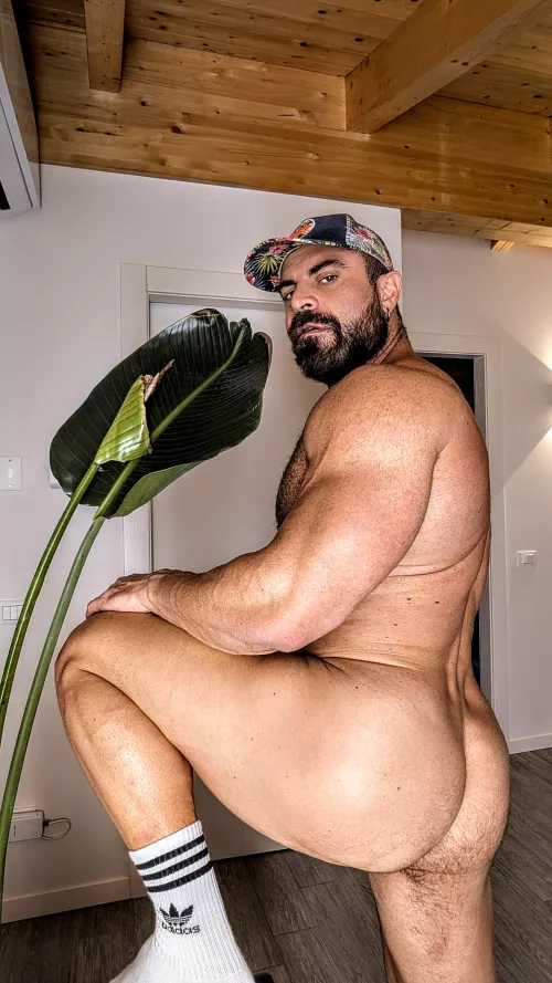 is it big enough for you?