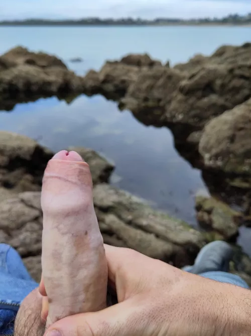 jerking at the sea. you think those people at the beach saw it? i didnt dare cumming