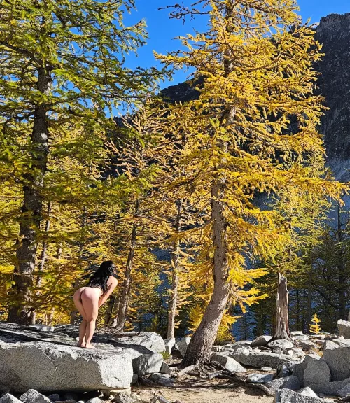 Just getting a closer look at these larches! #WA