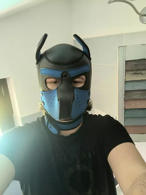 Just got my first hood, how do I look?
