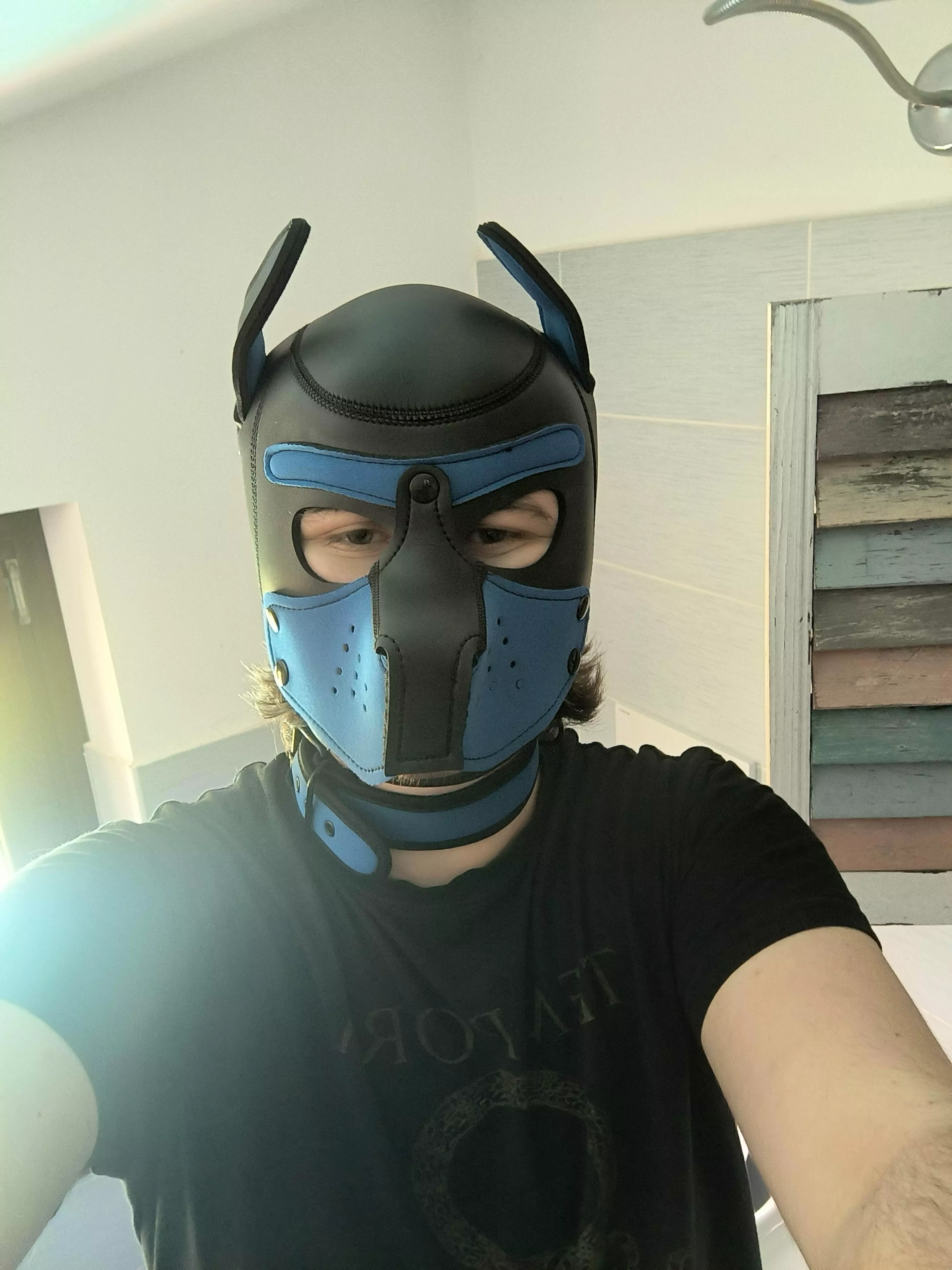 Just got my first hood, how do I look?
