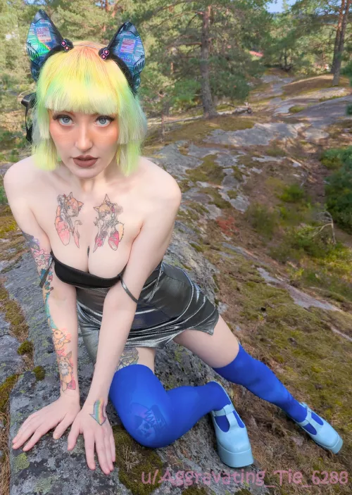 k9 unit reporting for teasing duty