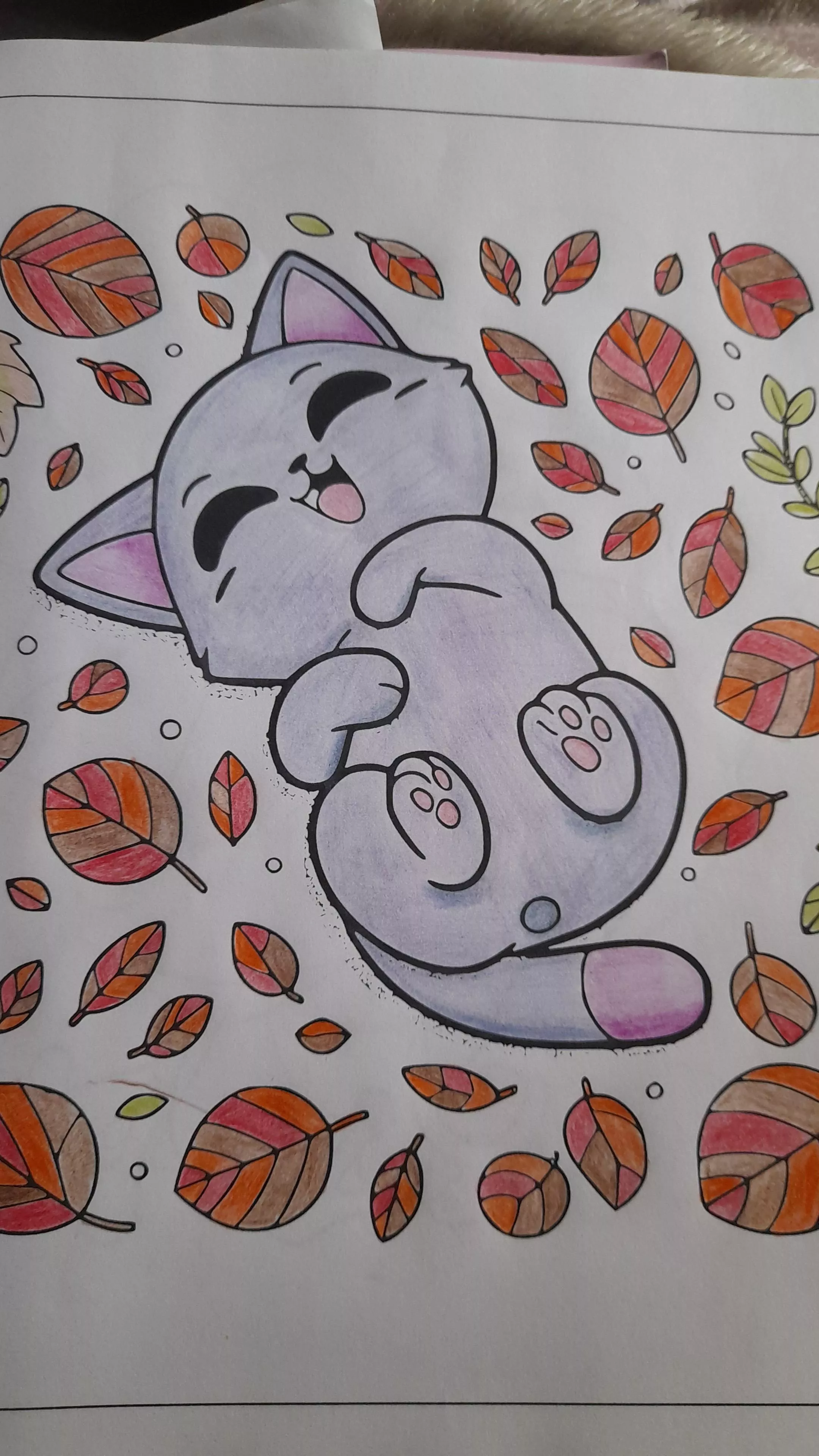 Kitty colouring