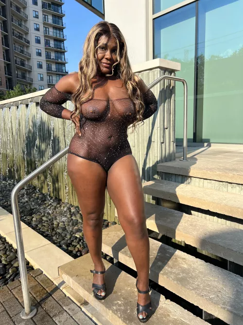 Let's go for a fun walk