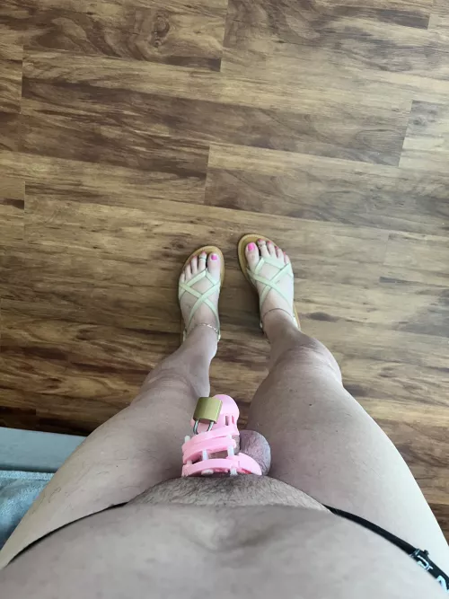 Locktober fest I need to find some bubblegum nail polish so my piggies match my cage. 