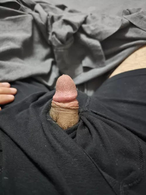 Mutual blow job in east valley