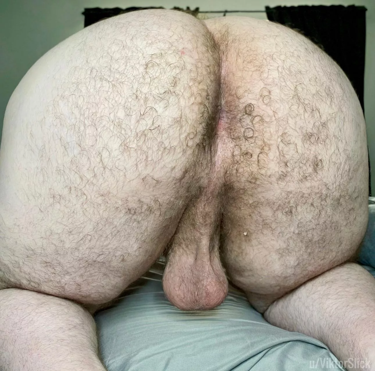 my ass looks especially juicy today