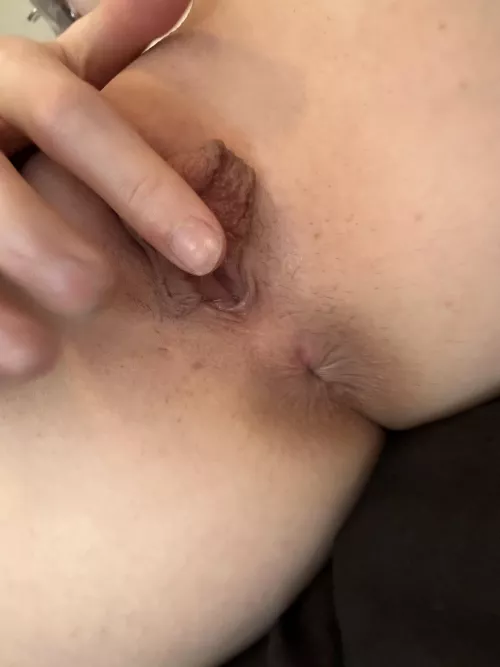 My asshole's been waiting for ur horny tongue