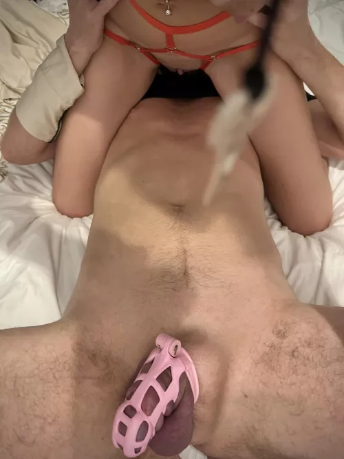My hubby's tongue is in the right place. His cock too. It's been two weeks, should I change his cage to a smaller one?