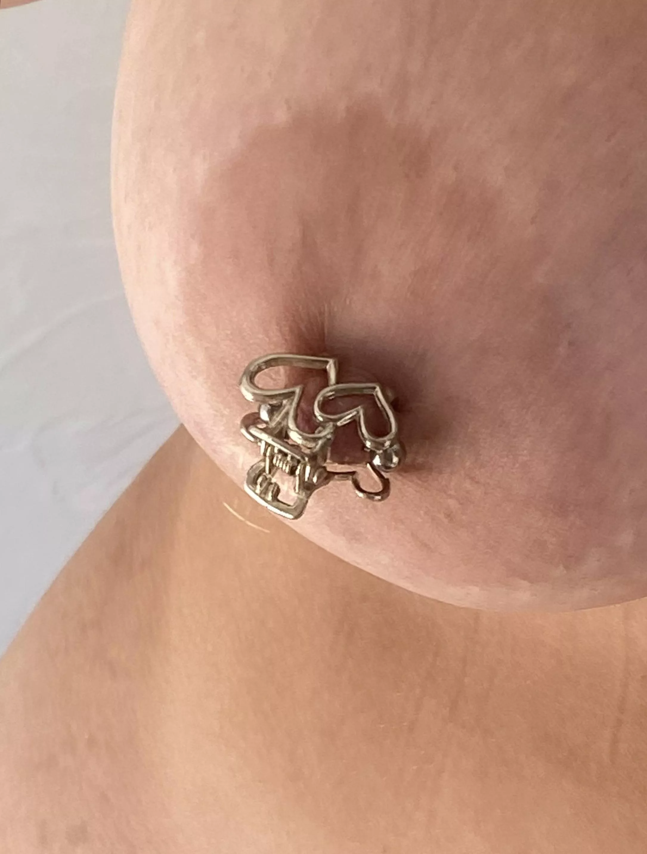 My large areolae are adorned with a full stuffing