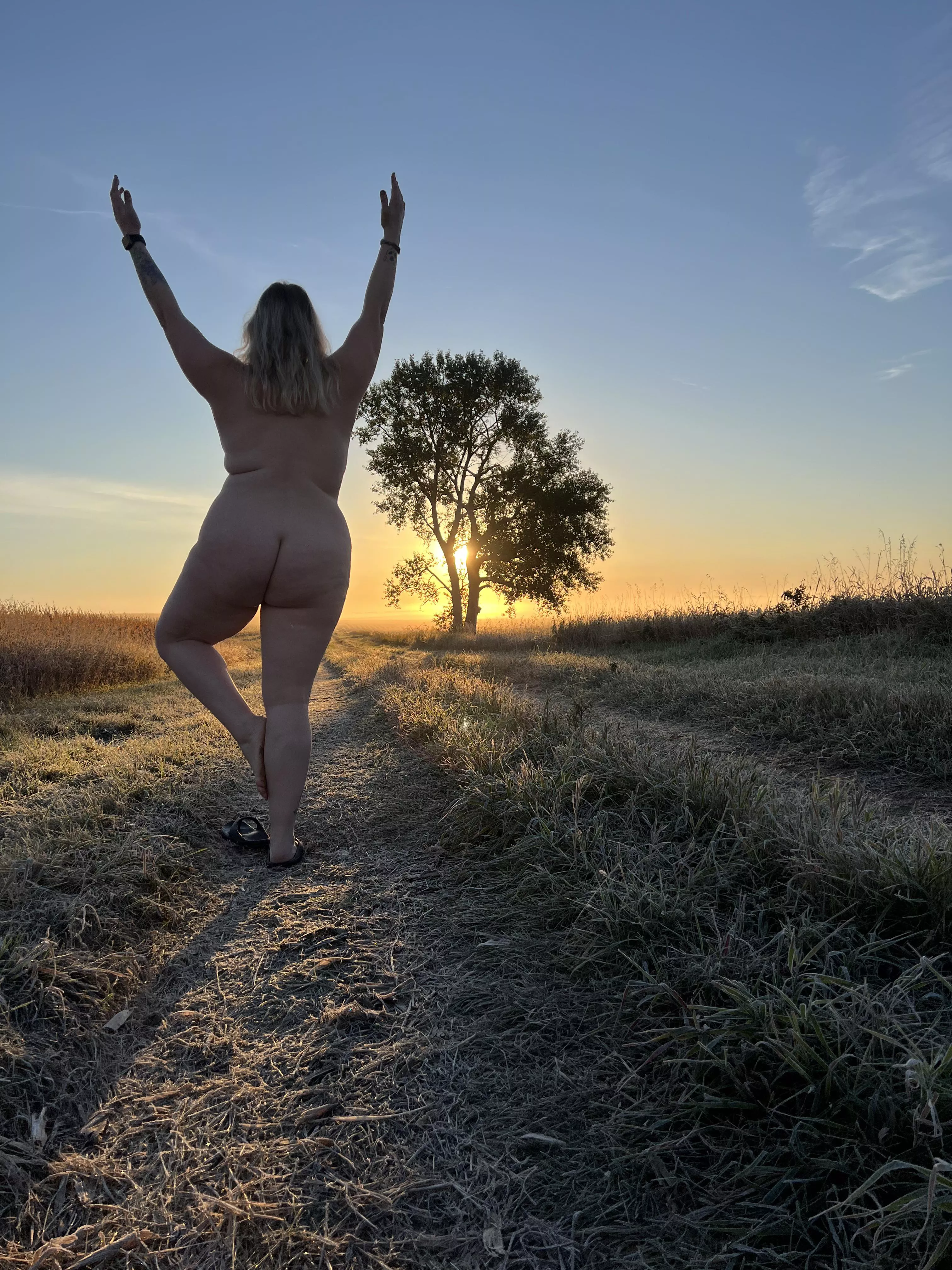 My tree looks different