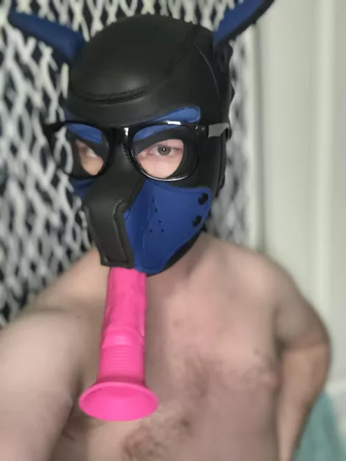 No, see, my need to taste your bone is for academic pup inquiry of course… :p