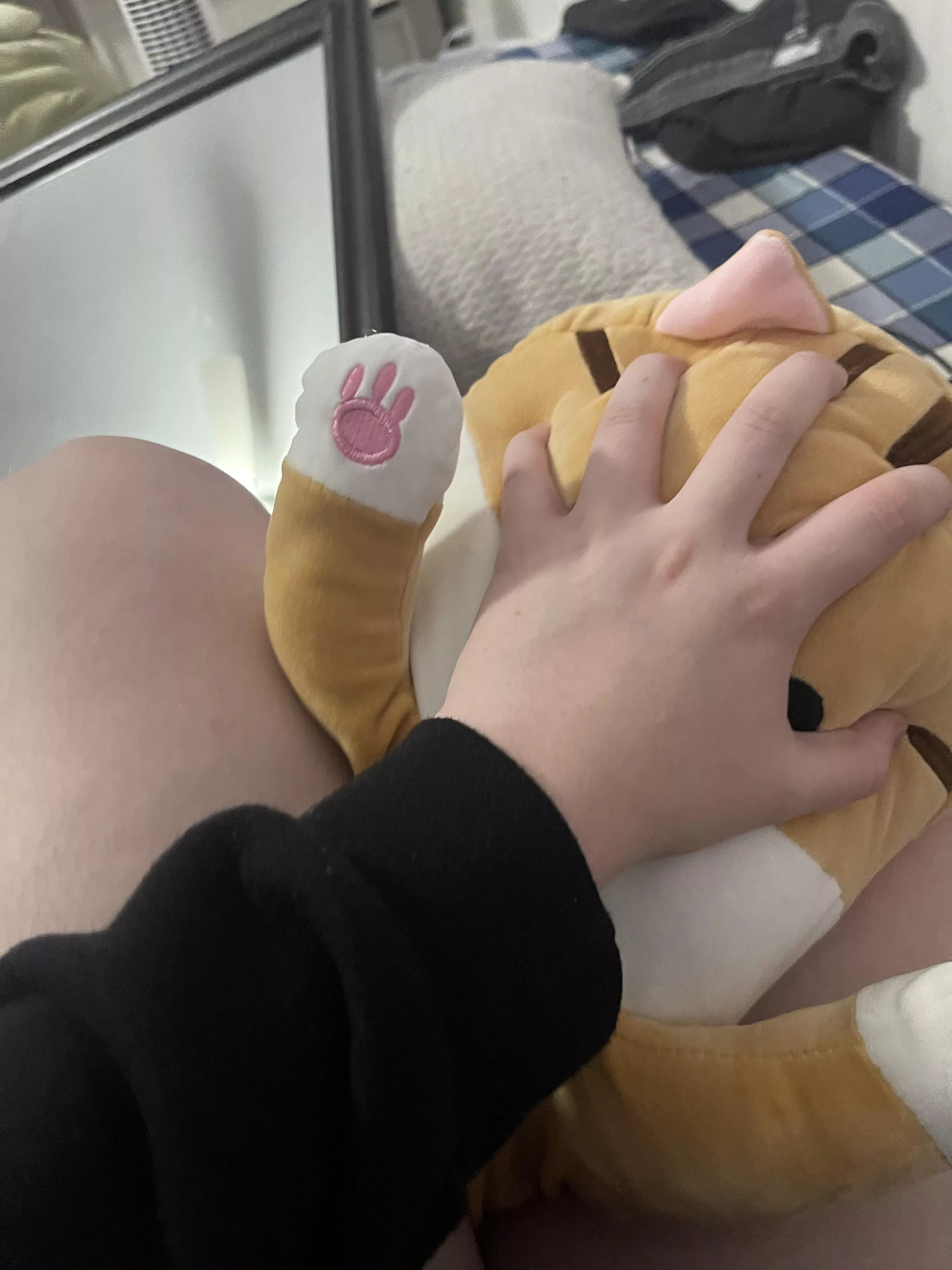 No stuffie is safe >:)