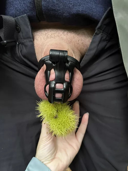 Playing with his conkers on our woodland walk 