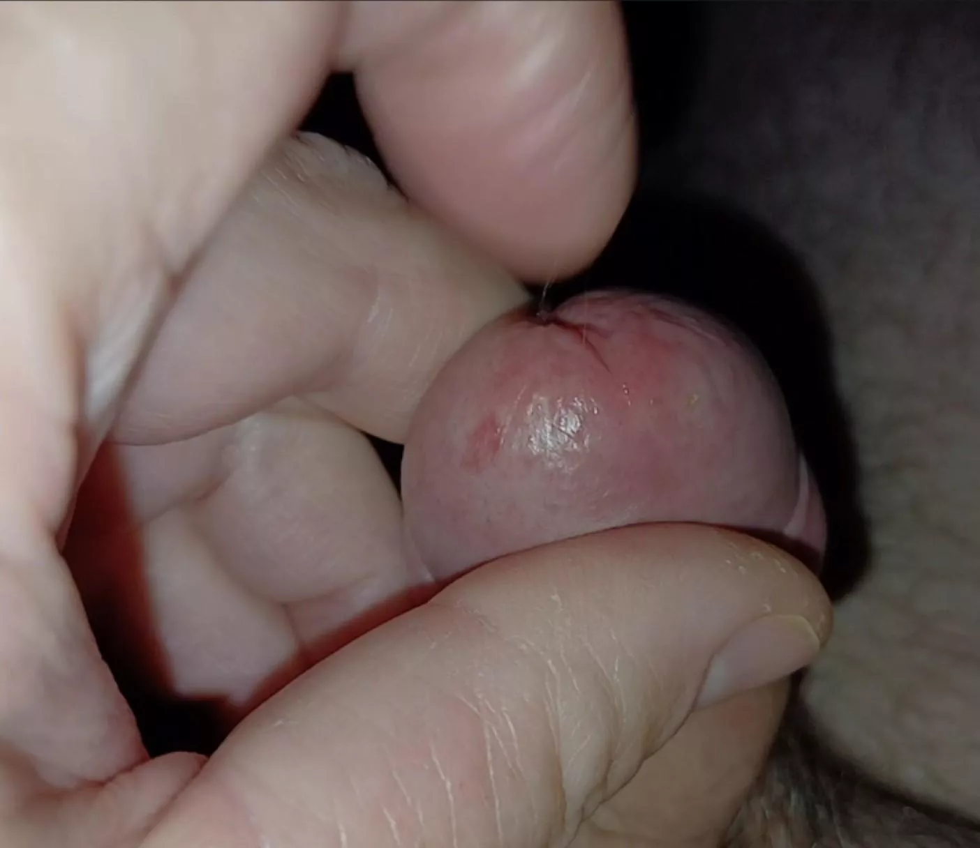 Playing with my precum 