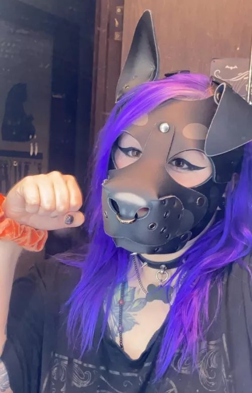 Pup sees herself in the mirror!! 🐾