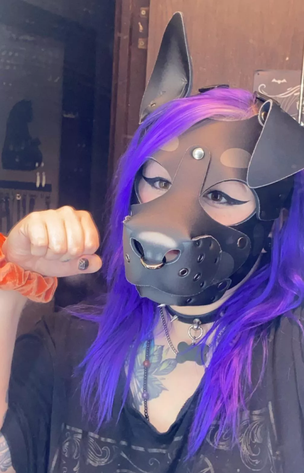 Pup sees herself in the mirror!! 🐾