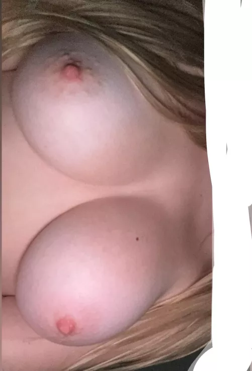 Rate my white boobs