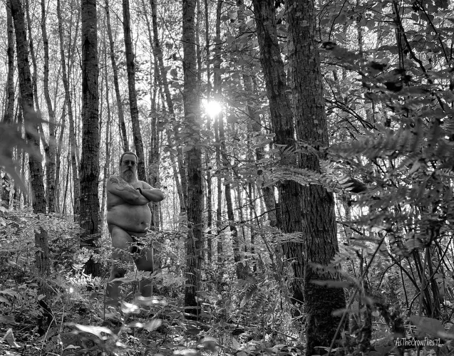 Refreshing day in the woods