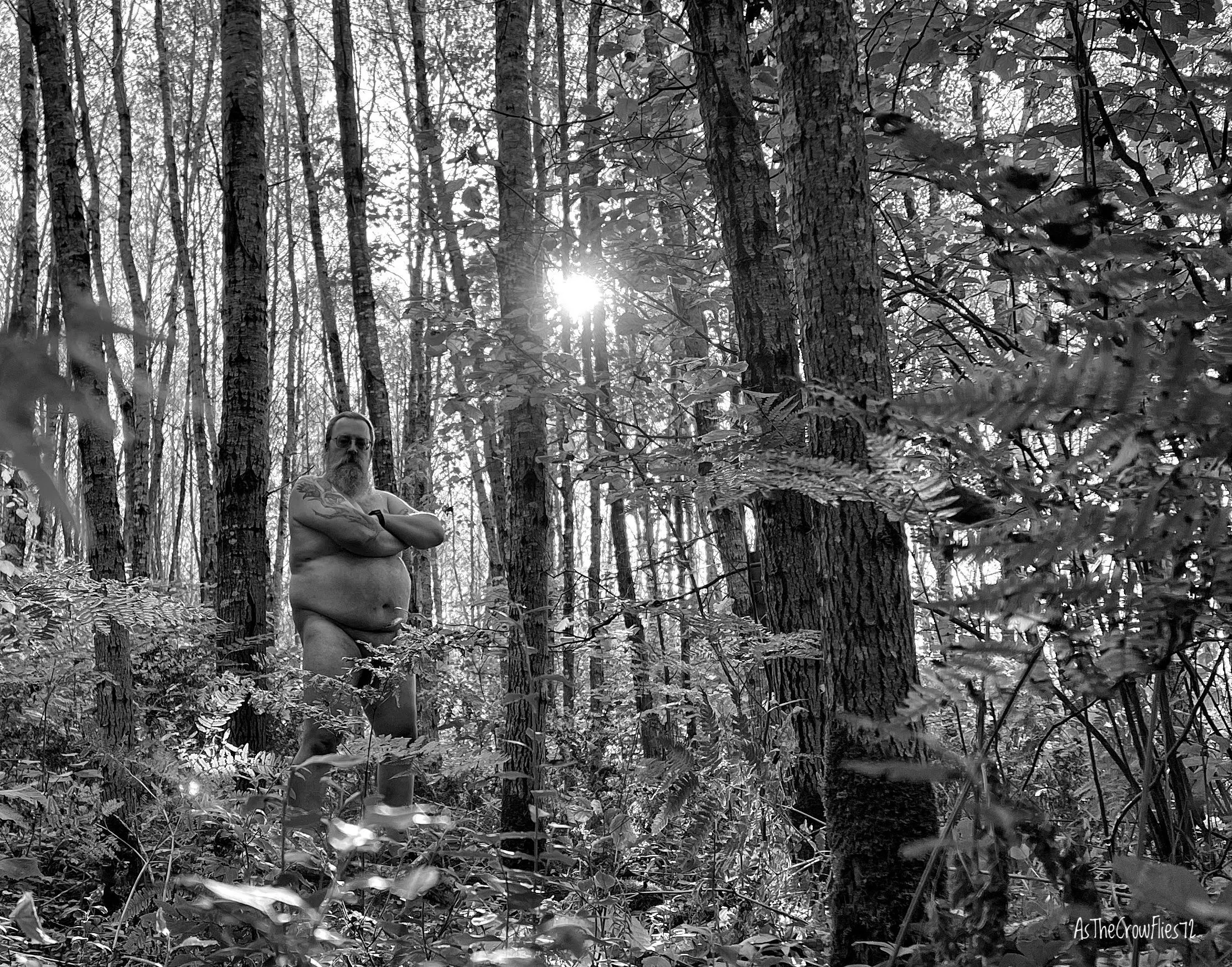 Refreshing day in the woods