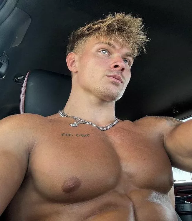 Ripfag'n Hollipecstud