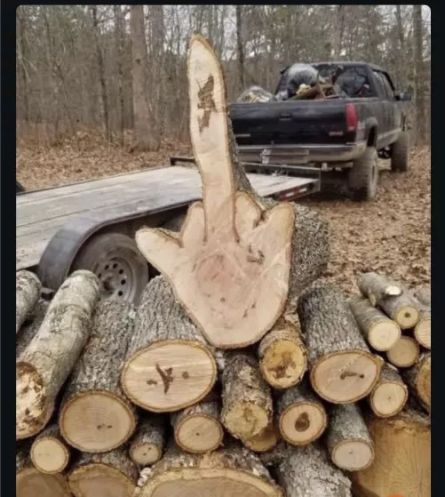 So I was chopping wood the other day, and something came up that reminded me of something I needed to tell you all before: