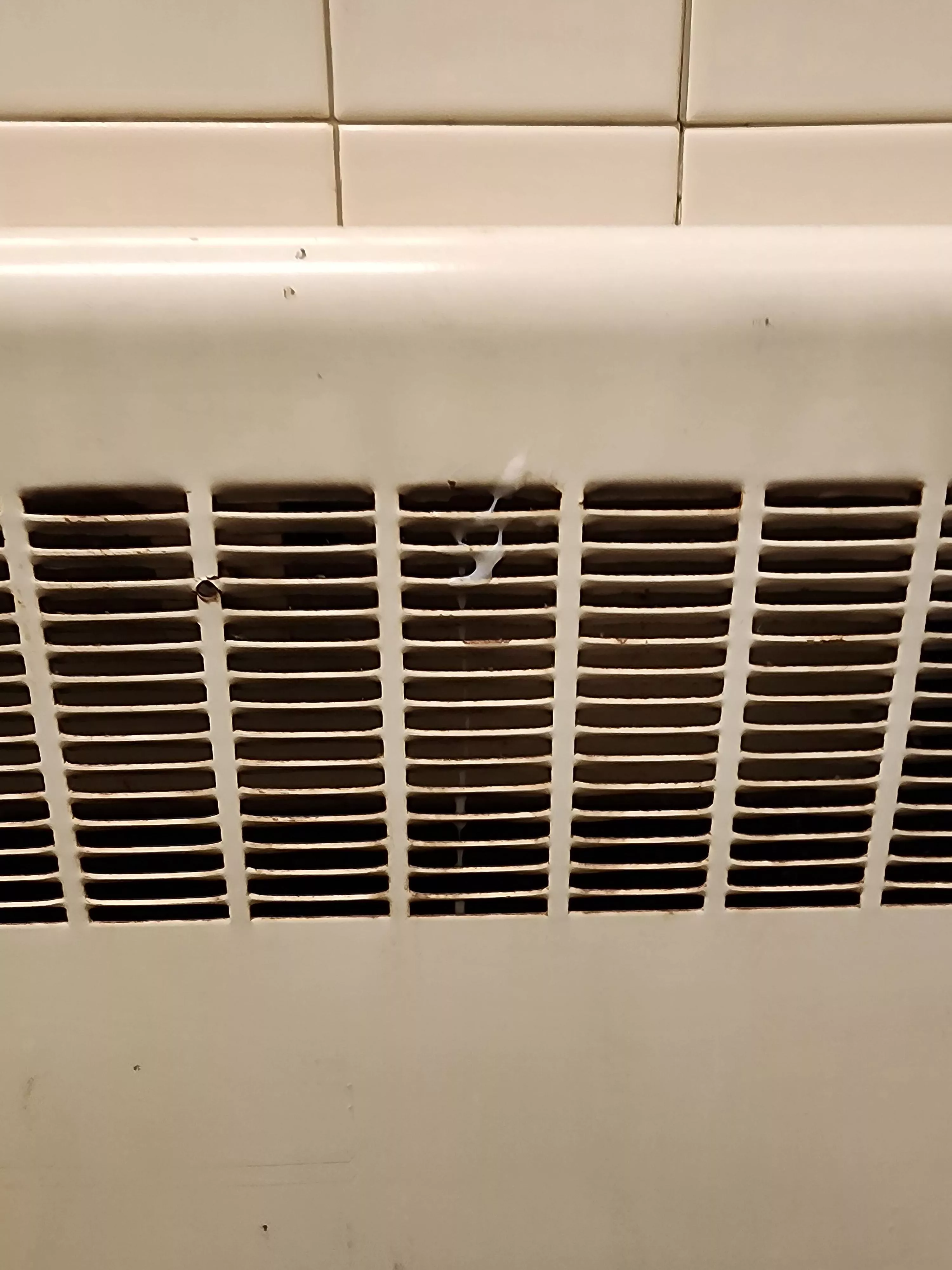 Tagged the radiator (34)