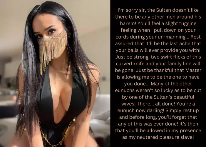 The sultan's orders!