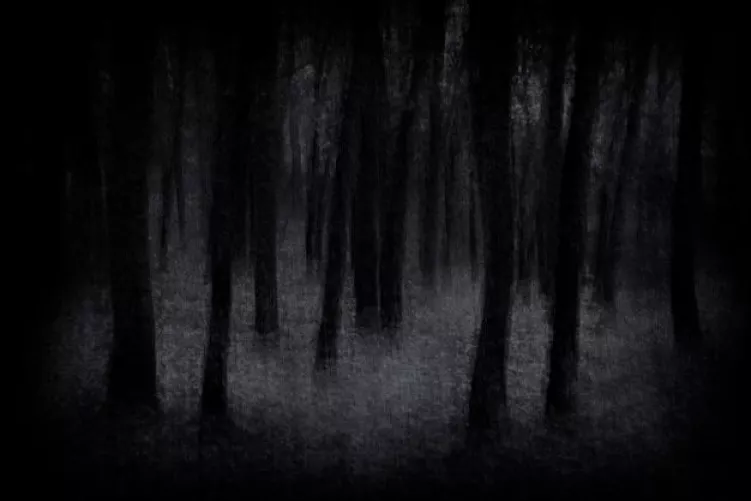 THEIR supplicants rise 