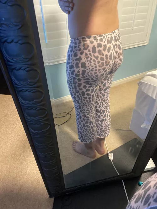 These are my mother-in-law’s