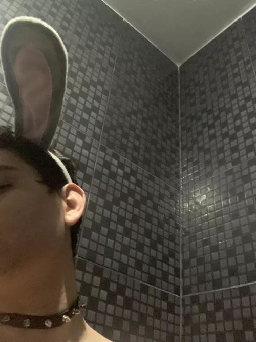 This is all of my halloween costume for this year.