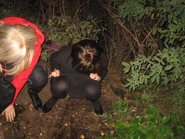 Together in the bushes