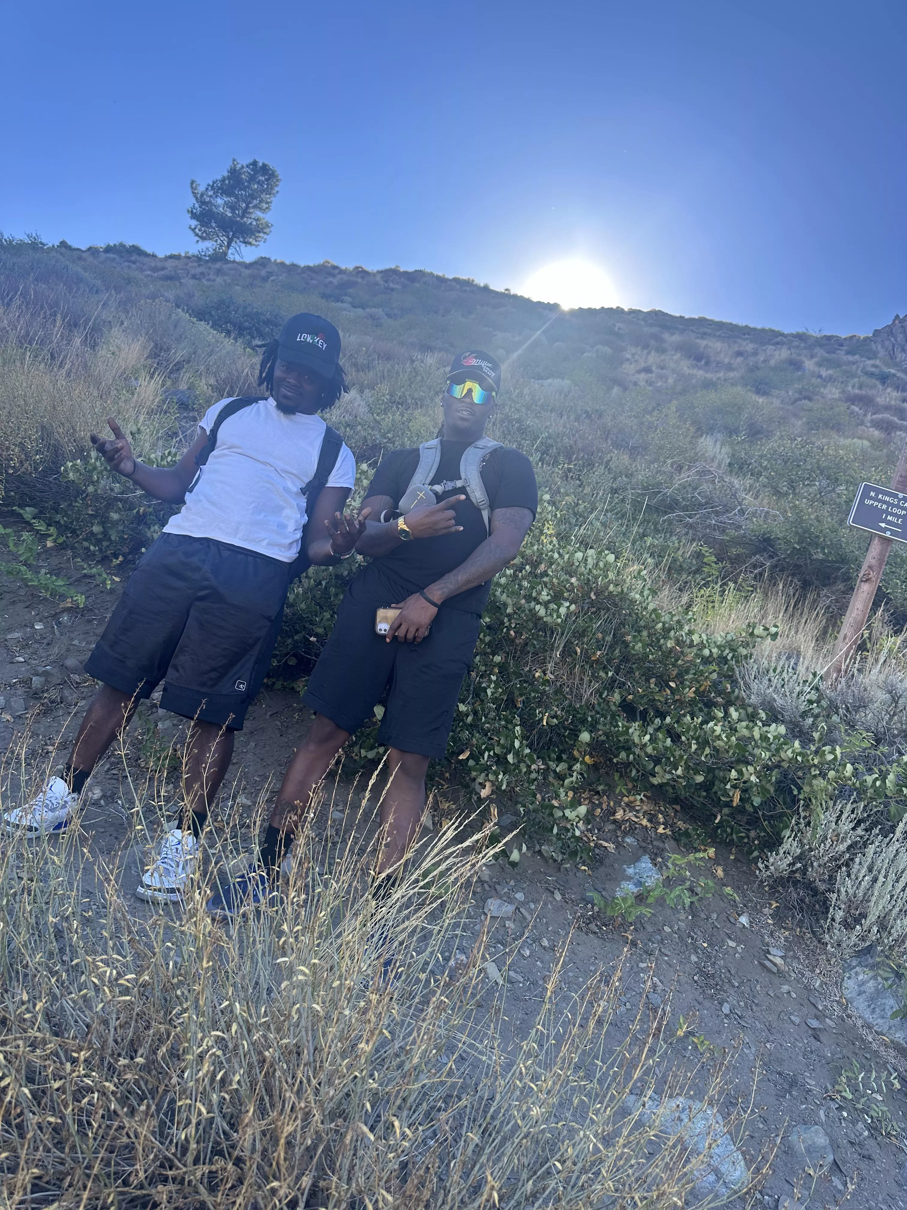 Two Bulls needing to be drained 