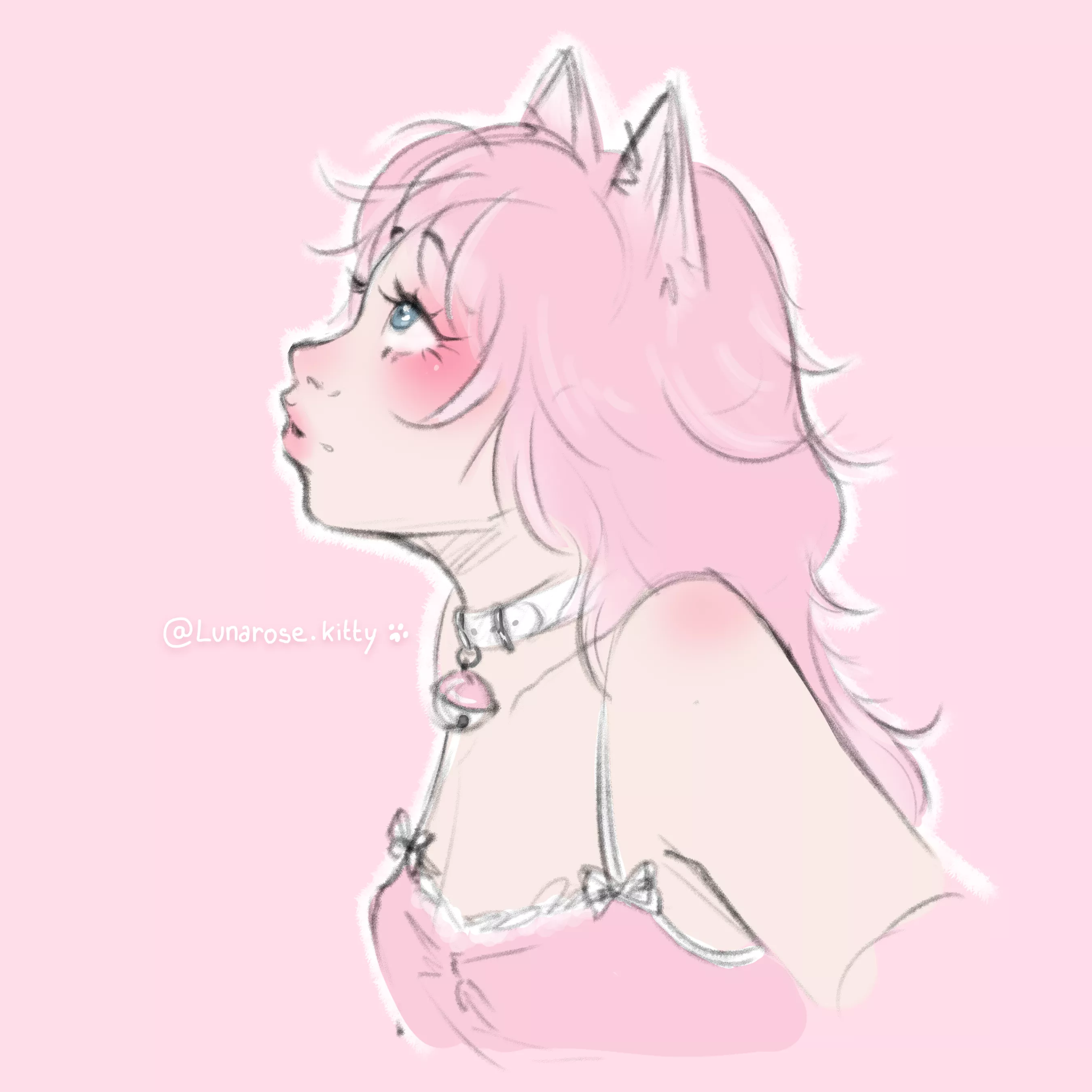 waiting for daddy's orders 🐈🐾🤍