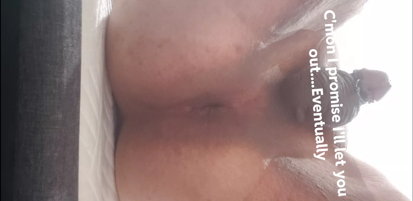 Wanna be a brat boy's toy~