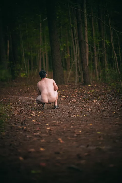 What a nice evening for a walk