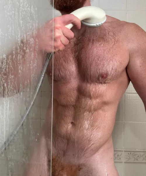 What are your thoughts about my wet fur?