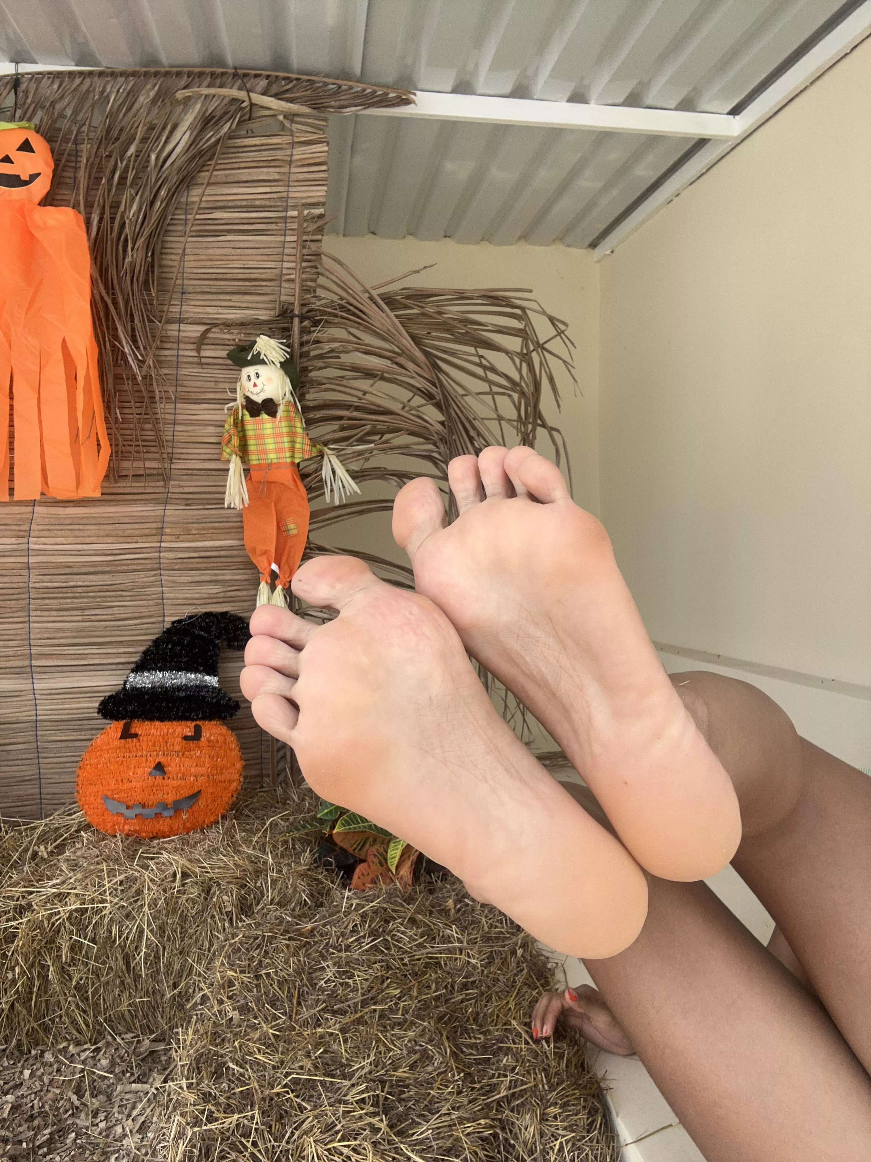 What would you do if they were in front of you?