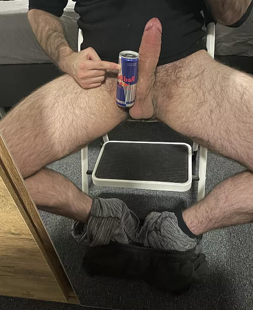 Which bull do you prefer?