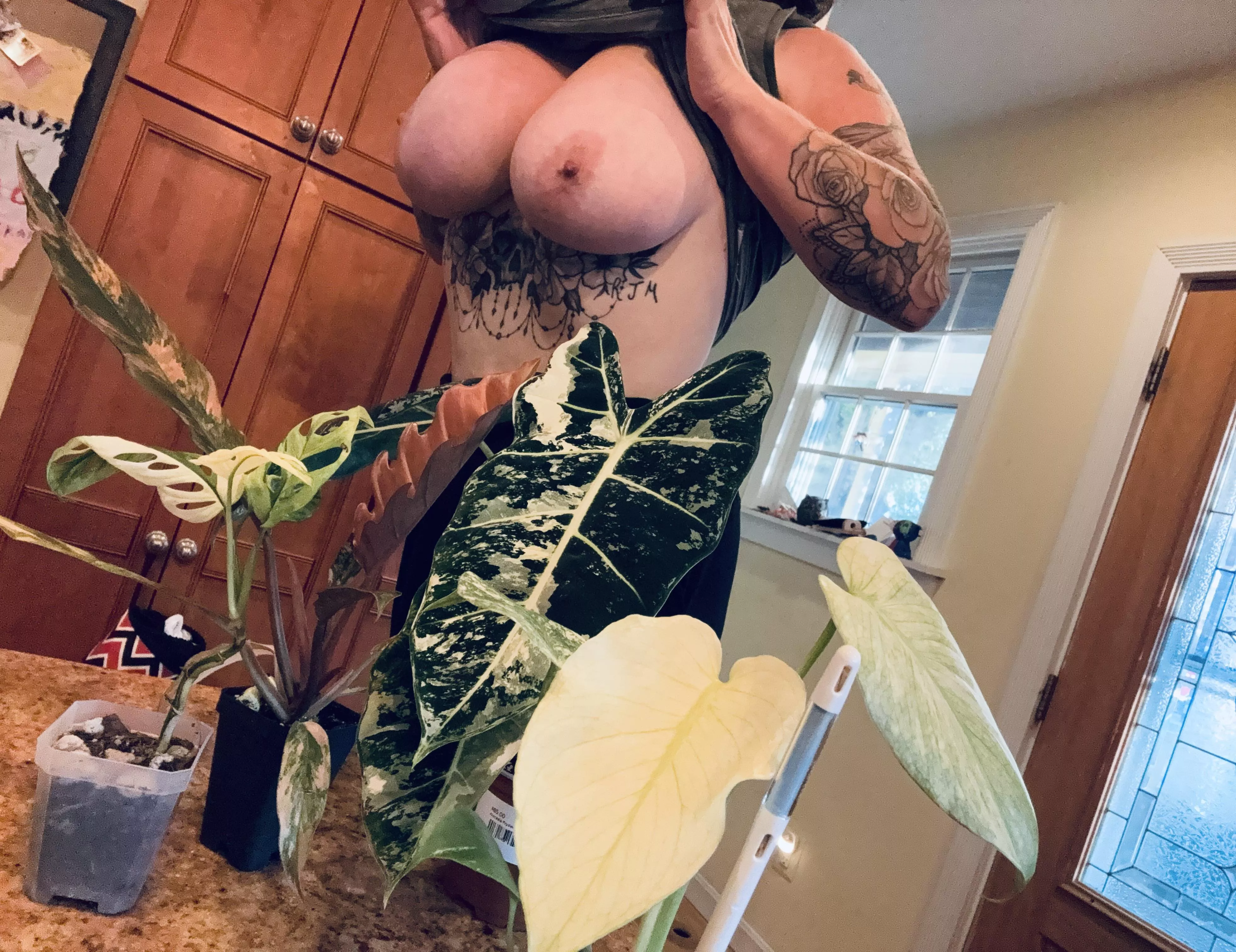 Which is your favorite?💚