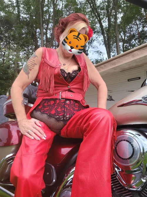 Who wants to go for a ride??